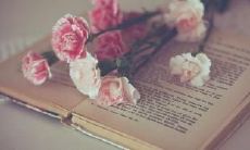 表达内心伤感的花朵主题个性签名推荐