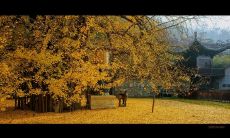 一句照亮老人内心的喜悦，让他们感动不已的美好语句