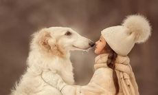 温馨简短的句子，为你带来内心的温暖