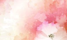 四年级下的感恩父母的句子，让我们一起向养育我们成长的最亲爱的人致以最真诚的感激