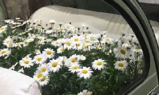 高阶且具有独特风格的语句，深受少数人青睐