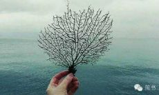 勿忘初心是我们始终需要铭记的经典座右铭