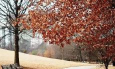 富有感染力的、备受关注的、足以触动人心的扎心文案热度不减