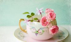 收录了许多让女性开心的语句，让我们一起来分享吧！