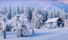 一份集齐大雪节气所有谚语的详尽清单：概括中华古今民间智慧的大雪节气谚语汇总