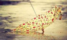 一切美好的感觉涌动而出：留连忘返的情怀优美句子