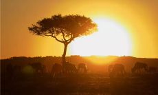 母女之间的感人文字：描绘女儿和母亲之间温馨的关系