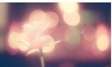 感到苦闷无人倾听：心中烦扰无法宣泄之句