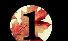 涉及情感暧昧的情侣之间的言语表达方式及其含义解析