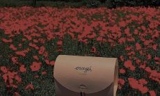 生活中不可避免的心酸和现实：探索人类情感深处的句子