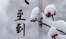 传统节日冬至日，送上最温馨的祝福语，为亲友点燃一年最长的夜晚希望之光！