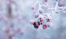 冬至到啦！给可爱的女朋友送上暖心祝福！