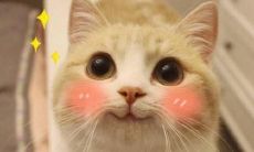 一大堆能够表达喜悦和开心的激动人心的句子！