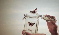 一些鼓舞人心的、有助于激发斗志的励志性句子