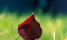 2022年度精选出的最感人的、恰到好处的、经得起时间考验的经典句子！