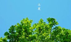 环境日益变暖，万物生长，我在立夏的朋友圈分享的心情句子！