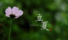 30句令人陶醉的唯美立夏说说，用文字真实感受初夏的温度和美好！