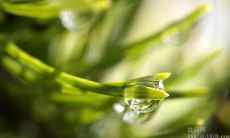 用于简历的励志名言，鼓励自我激励并提升职业发展机会的方法