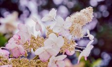 54青年节祝福短信汇总，包含丰富的54青年节祝福语短句和感人的青年节祝福短语