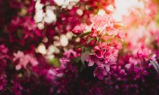 祝福五四青年节，青春奋斗励志，追梦扬帆启航的青年们快乐无限！