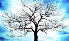 初中必备！收集雪景优美句子和段落的完整版，附上古诗句，帮助你更好地描写雪景！