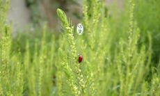 收录了各种惊蛰节气下的丰富祝福语, 让你的祝福如春风化雨般温暖人心