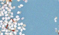 在木马上荡秋千，尽情享受童年欢乐的感觉！