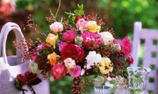 毫不夸张地说，这些令人开心得要命的句子实在是太逗了！