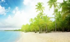 经过陪伴之后，心情从悲伤转变为欣喜的描述