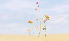 祝福领导时表达最真挚感激的方法：用实际行动和言语来表达您的感情