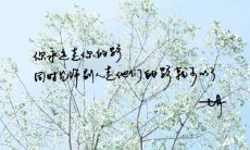 分享一组优美的说说句子集，满足说说控的口味！