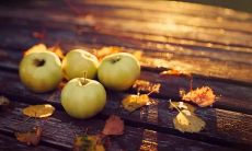 一百句祝女朋友开心的话，让TA每天都能笑颜如花！