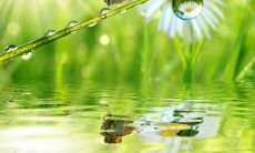 如何用一条短信向朋友送上秋分的问候？