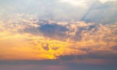 29句送祝福问候语，让你在大暑这个节气更加温馨！