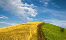 大气层薄变得更加严重，识别环保问题越来越紧迫