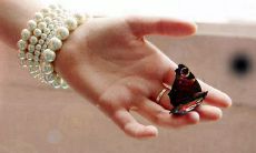 汇聚朋友圈的最幸福爱情宣言：满载狗粮，感受爱的温度！