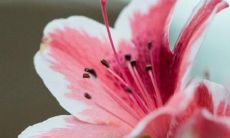 21句欢迎九月的文字句子，迎接秋日的轻柔风神，珍视日常生活中的美好瞬间，感受季节的变迁与自然的魅力，享受生命所赋予的每一个机会，坚守内心的热忱和信仰，与亲朋好友共度温馨时光，拥抱新生活的挑战和机遇，重温时光带来的深情与感悟，扬帆远航勇攀人生的巅峰，落实勤奋和耐心的精神，展现自己最好的一面，发掘九月赋予的无限可能，向未知的未来发出勇敢的宣言，惊艳自己和世界，用热情和智慧创造精彩的生活