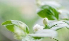 送去疲惫劳累者的温暖问候短信