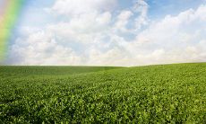 如何在短信中向远在他乡的女友表达最真挚的问候？