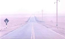 伟大的爱：感人至深的抒情句子大全，致敬亲情之美