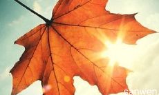 如何用一条有温度的短信问候午餐时间？