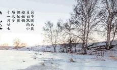 穿过小寒的时光隧道：点滴思绪与情感交织的纯美话语和美妙画面