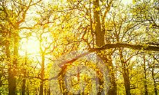 探索时间推移下友情的变与不变：用语言表达永恒的情感关联