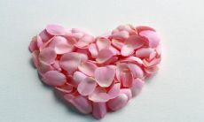 庆祝与最好的男性闺蜜长久稳定的友情所说的感人句子