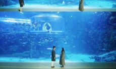 经历多年的友谊，值得铭记的情感句子