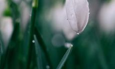 探讨友情之美：优美而感人的关于友谊的词语和句子