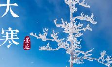 在大寒节气中，我们应该注意哪些事项？