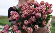 探讨有魅力且充满成熟韵味的表达方式