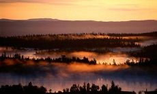 积攒笑声，笑破您的腹肌：最全面的短笑话收集