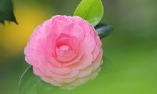 感人至深的关于亲情的句子，让人心酸到极点